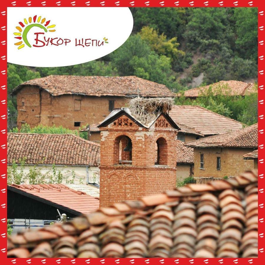 Guest House Bukor Shtepi Mandrica Buitenkant foto